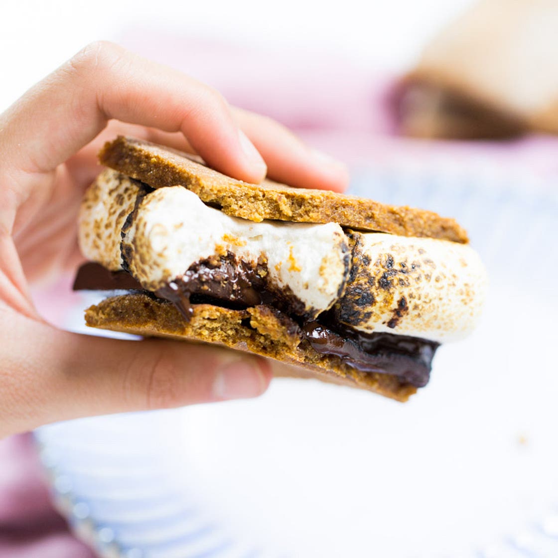 Galletas para smores