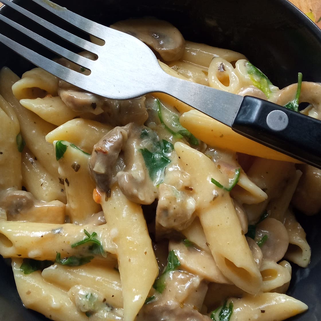 Mushroom Stroganoff