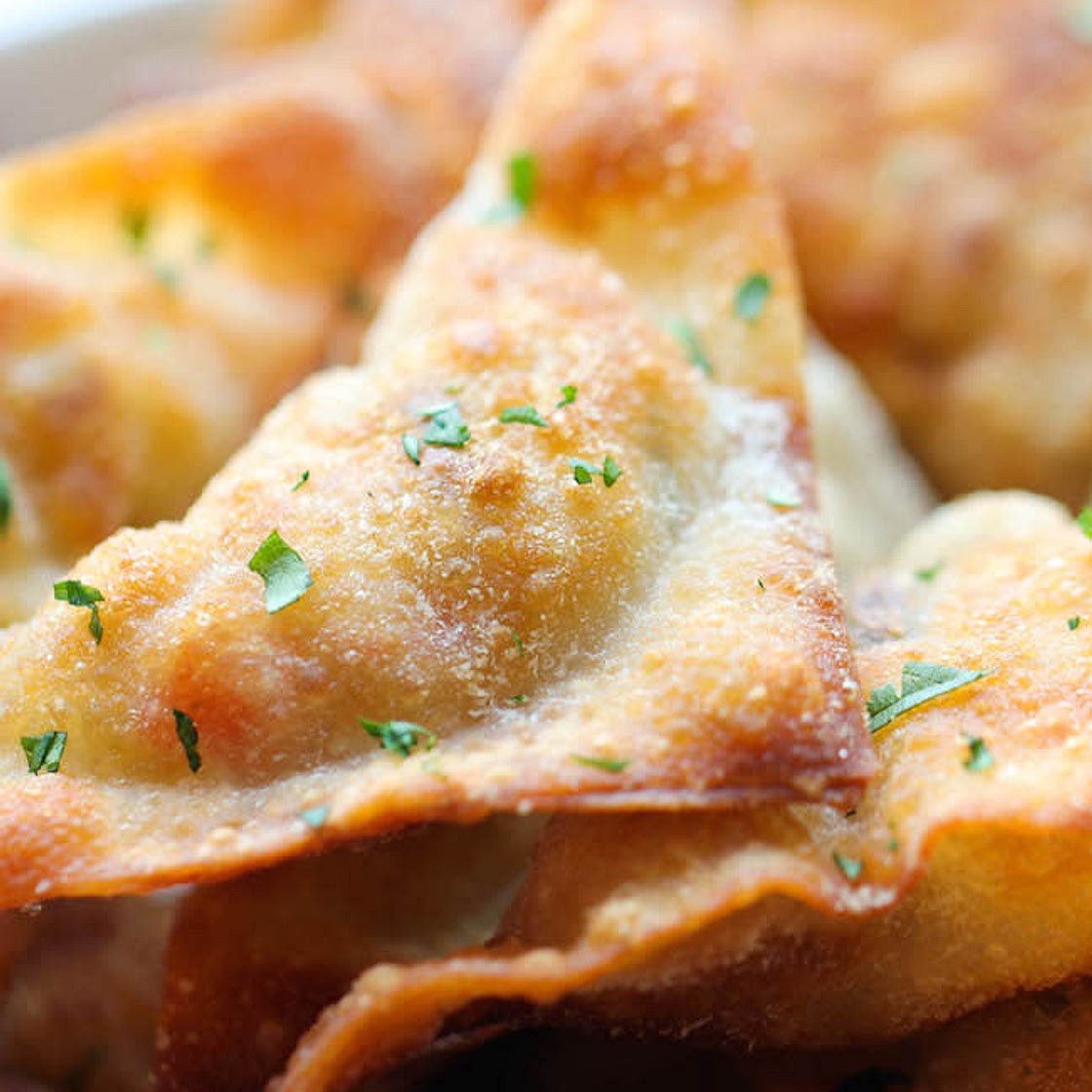 SOUTHWEST WONTONS
