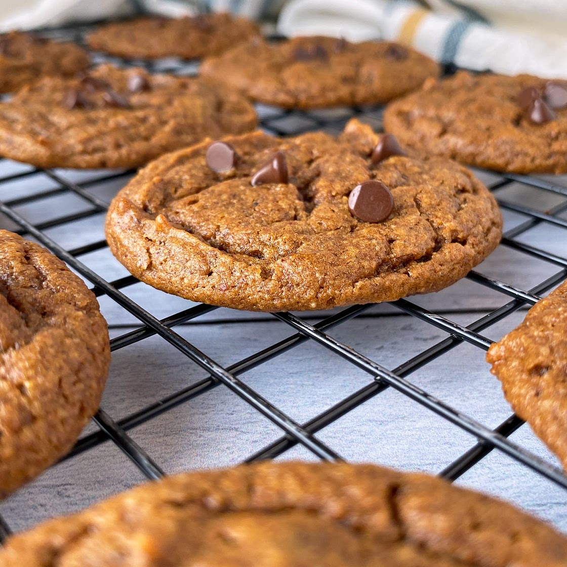 Paleo Pumpkin Chocolate Chip Cookies (Vegan)