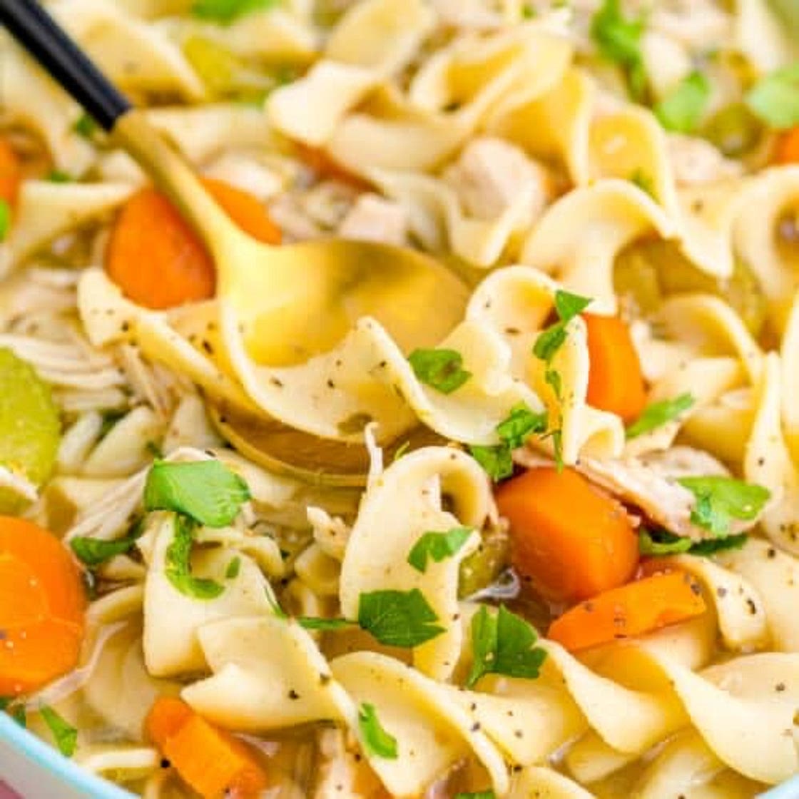 Instant Pot Chicken Noodle Soup