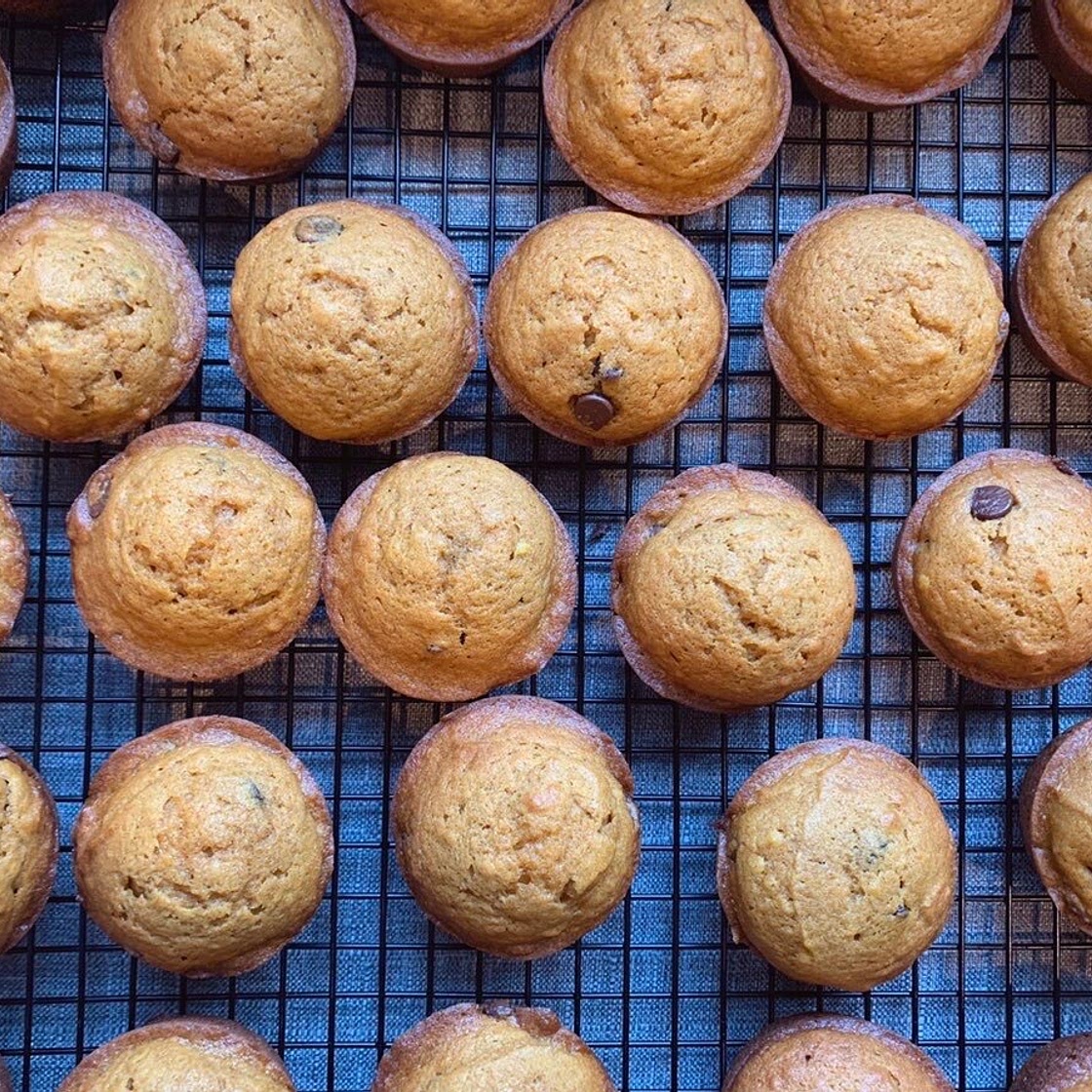 Our Ordinary Breakfast: Pumpkin Chocolate Chip Muffins — The Lazy Genius Collective