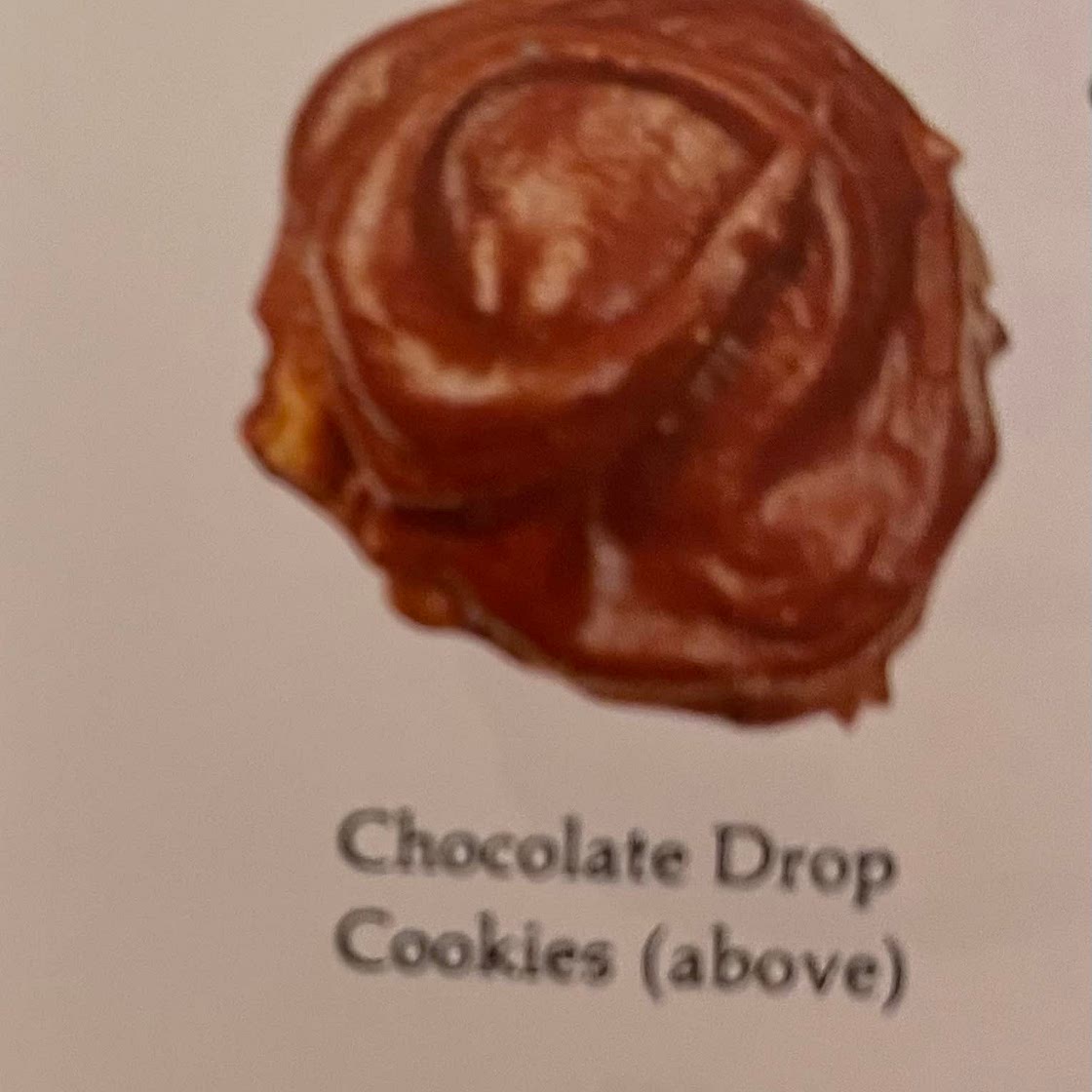 Chocolate Drop Cookies 