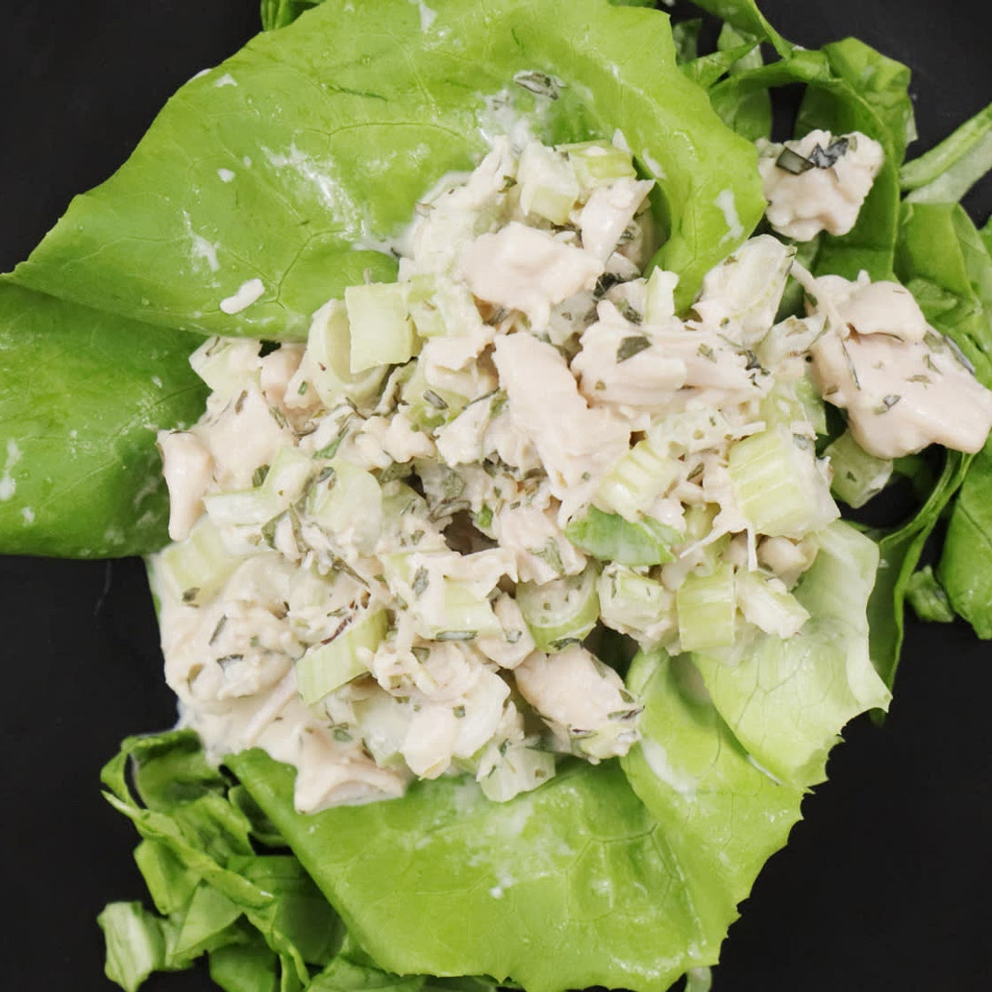 Keto Herbed Chicken Salad Lettuce Wraps