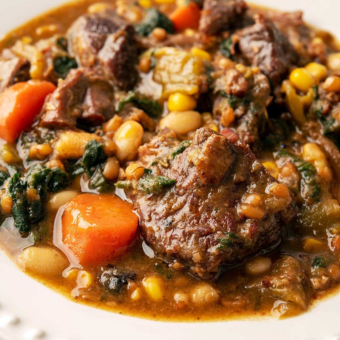 Rocky Mountain Elk Stew
