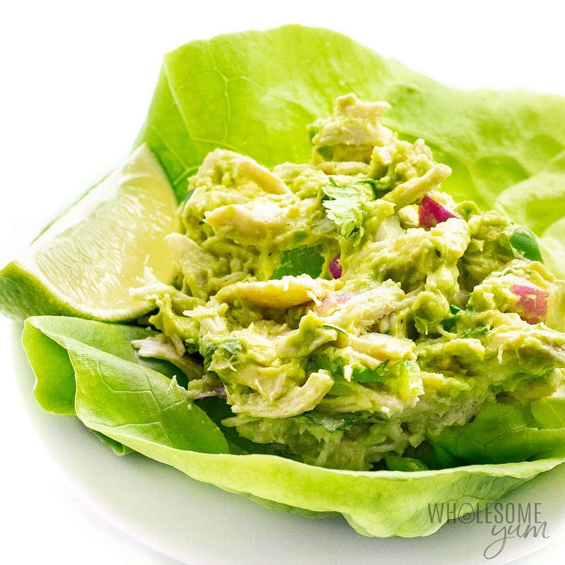 Avocado Chicken Salad Recipe (6 Ingredients!)