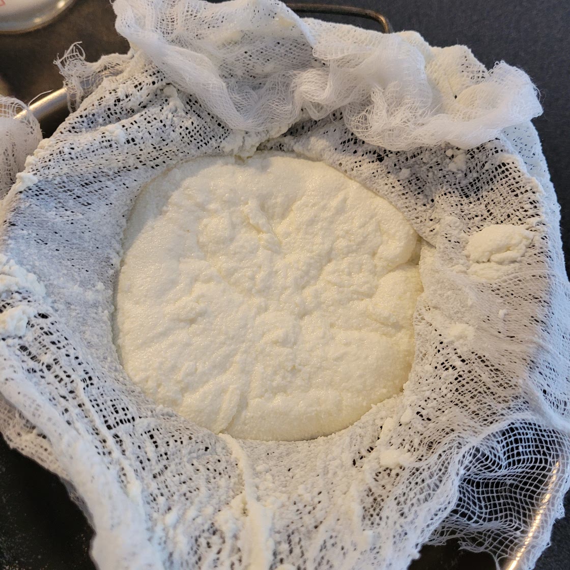 Ricotta cheese-home made