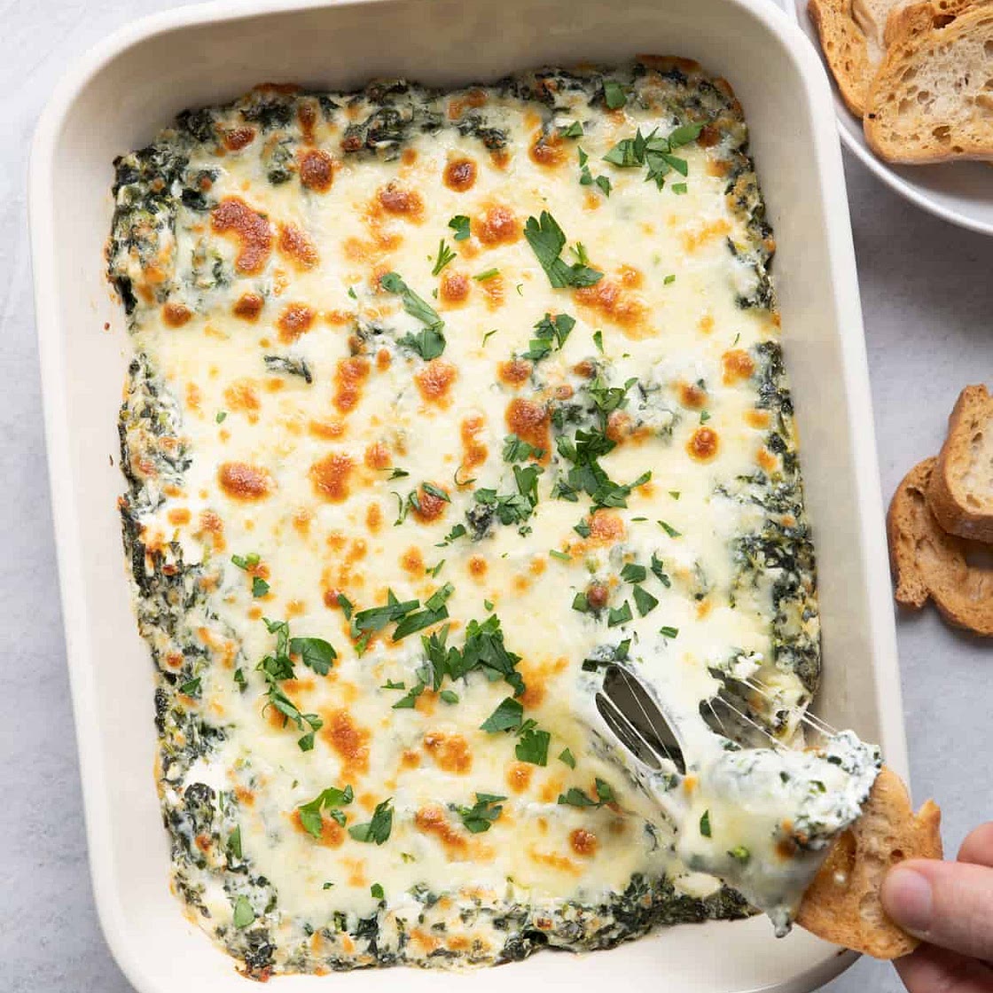 Cream Cheese Spinach Dip