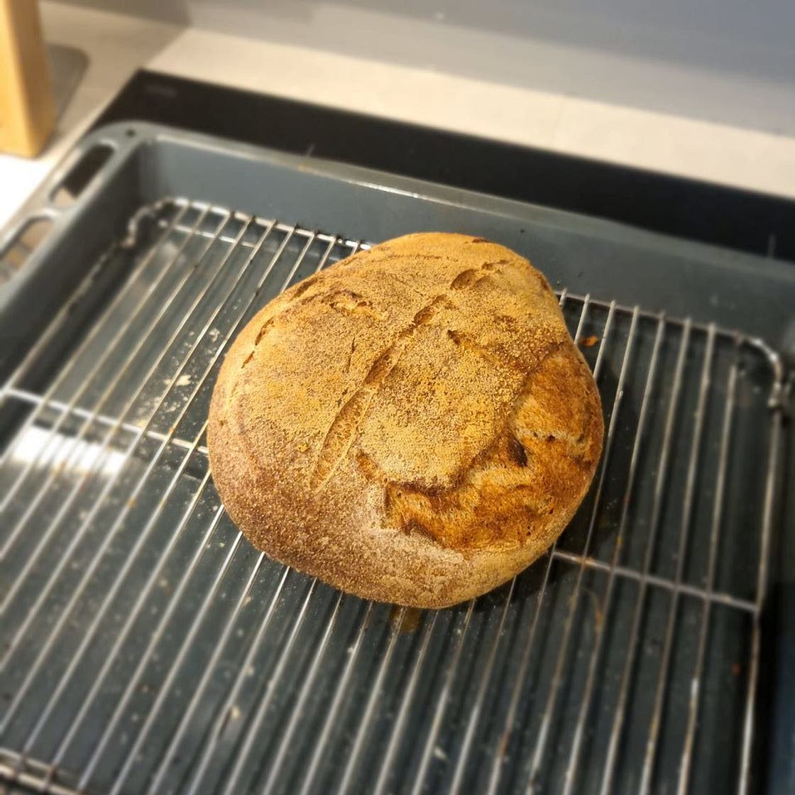 Sourdough (56% Hydration)