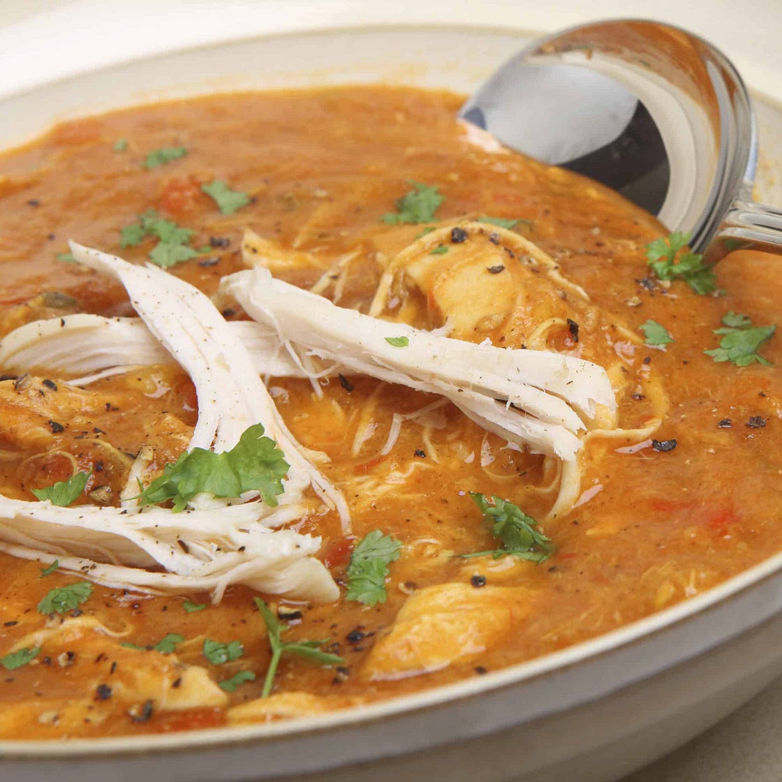 Low-Cal Southwestern Chicken Soup