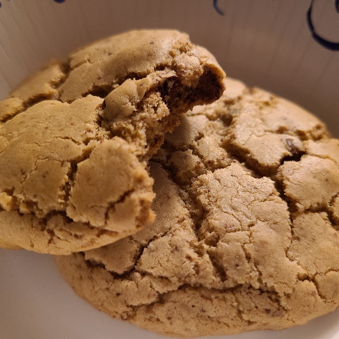 Chocolate-Chocolate Chip Cookies — Spicin' and Dicin'