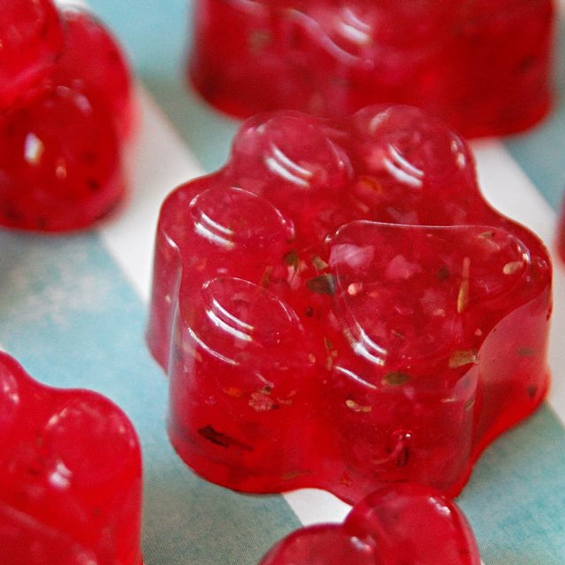 🐾🐶Cranberry gummies