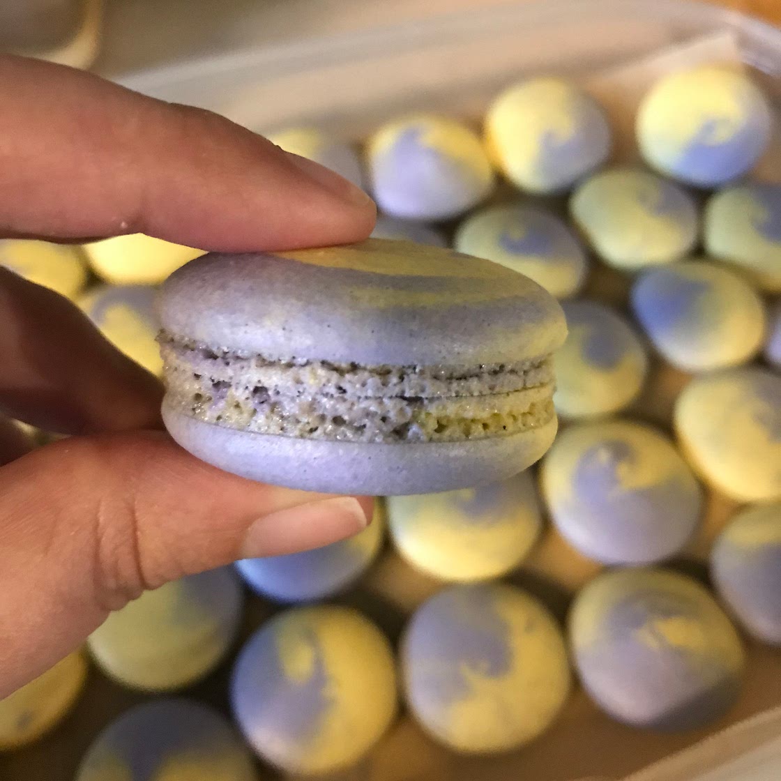 Dream Confections' Vegan Macarons