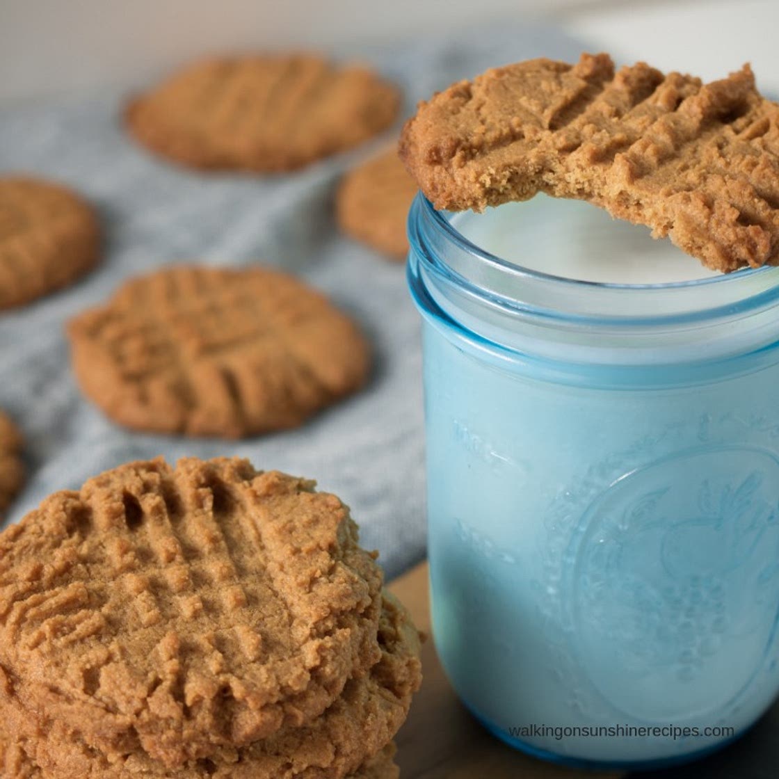 Sugarless and Flourless Peanut Butter Cookies