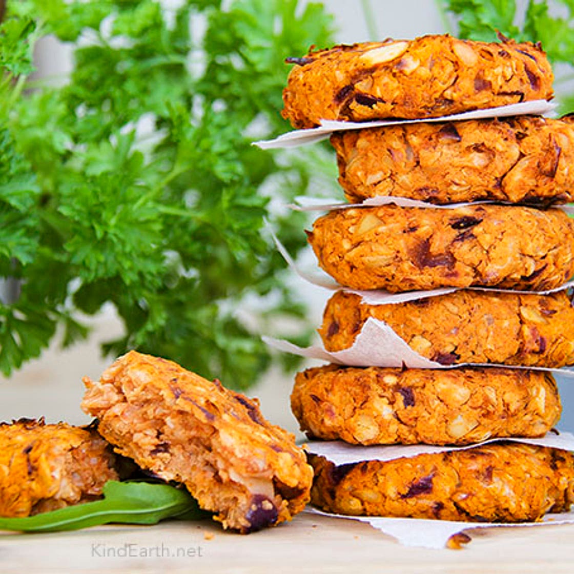 Vegan Butter Bean Burgers