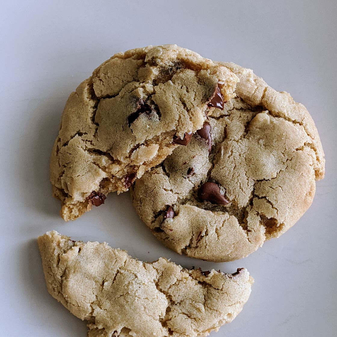 Chocolate Chip Cookie #9