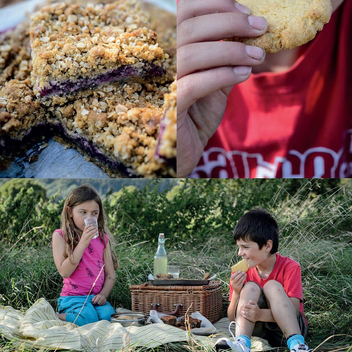 Apple and Blackberry Crumble Bars