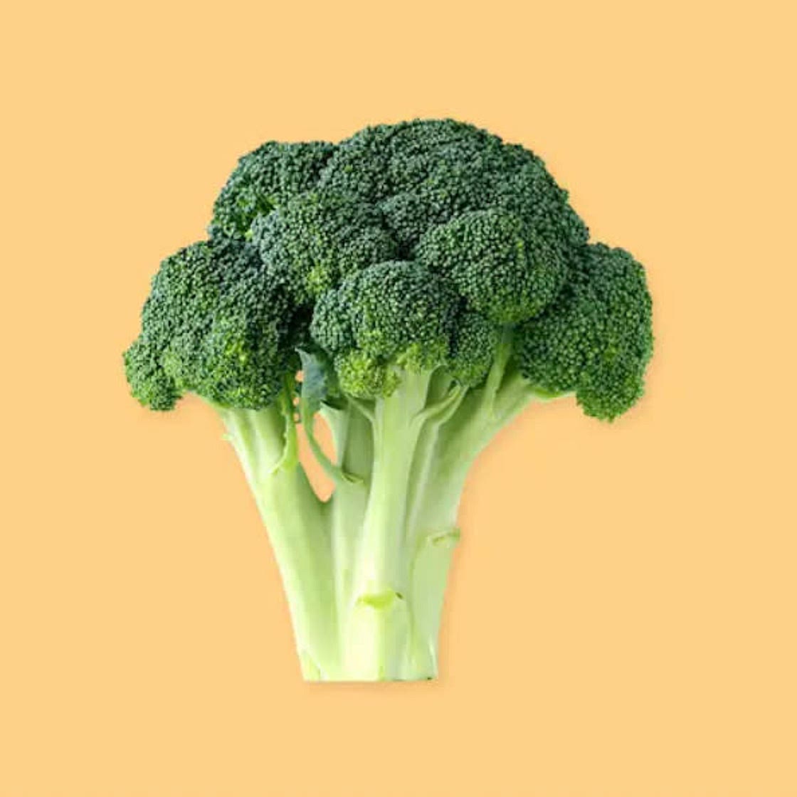 Pâtes, brocoli et fêta