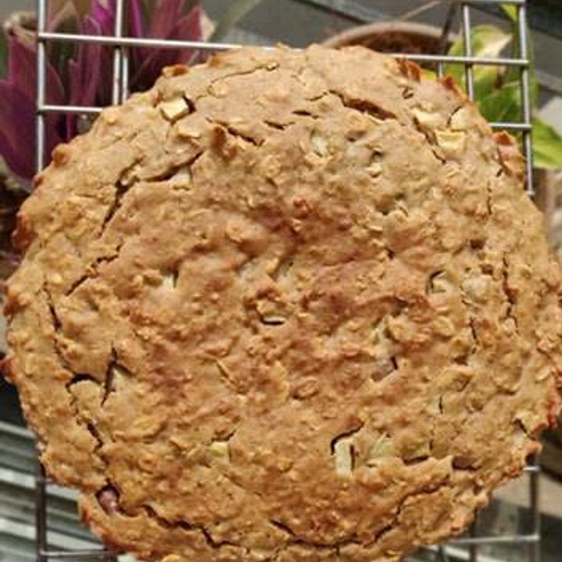 Apple Oatmeal Snack Cake