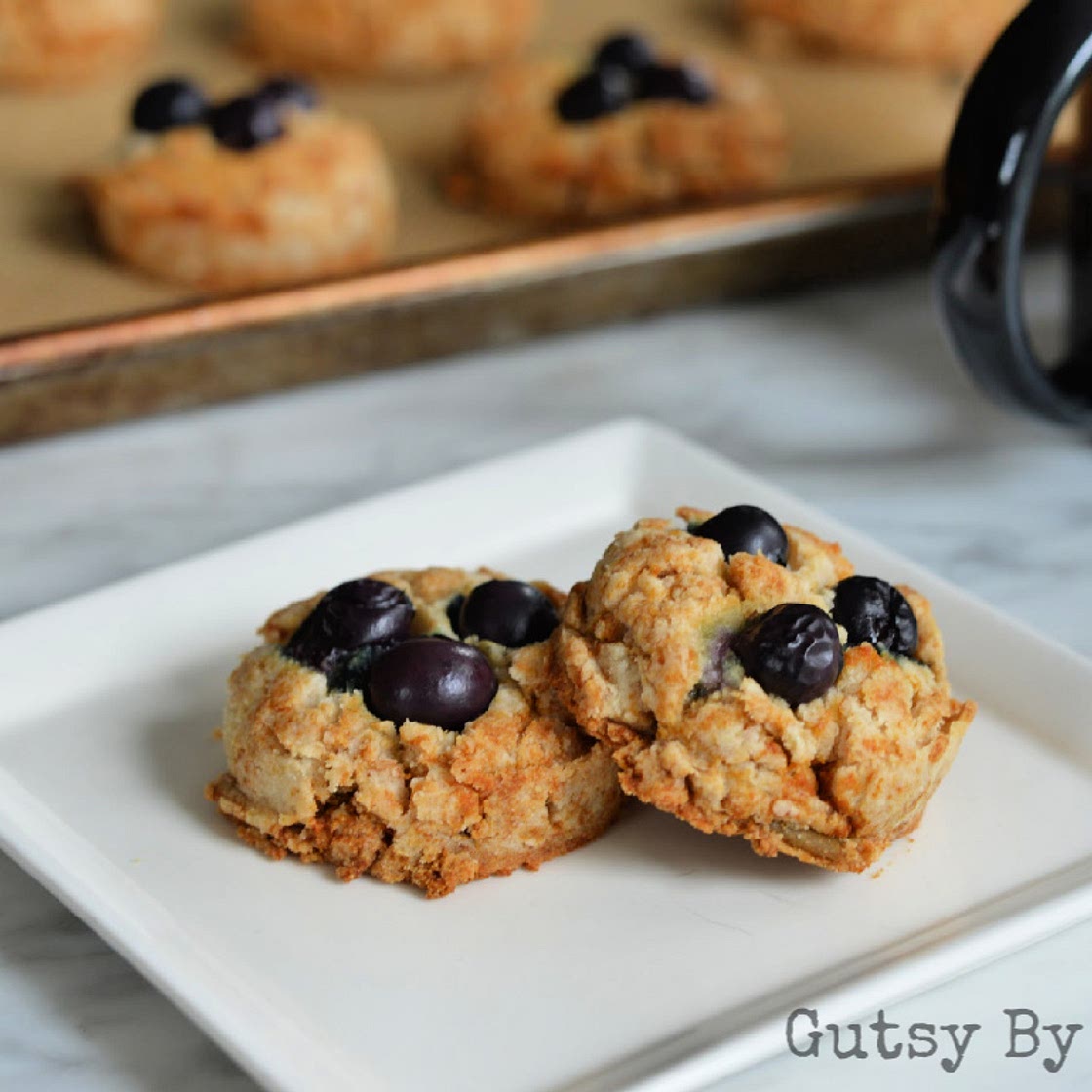Blueberry Muffin Bites (AIP)