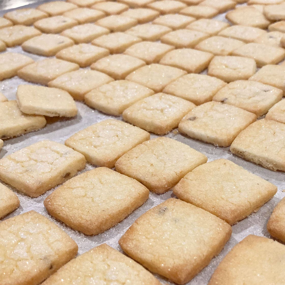 Lemon Lavender Shorties