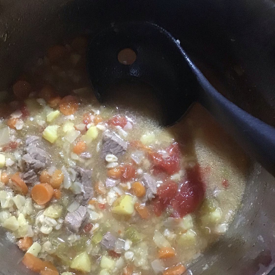 Instant Pot Beef Barley Vegetable Soup