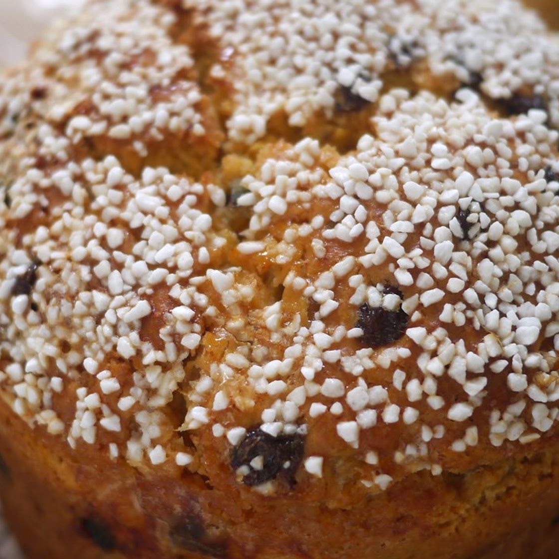 Gluten free panettone