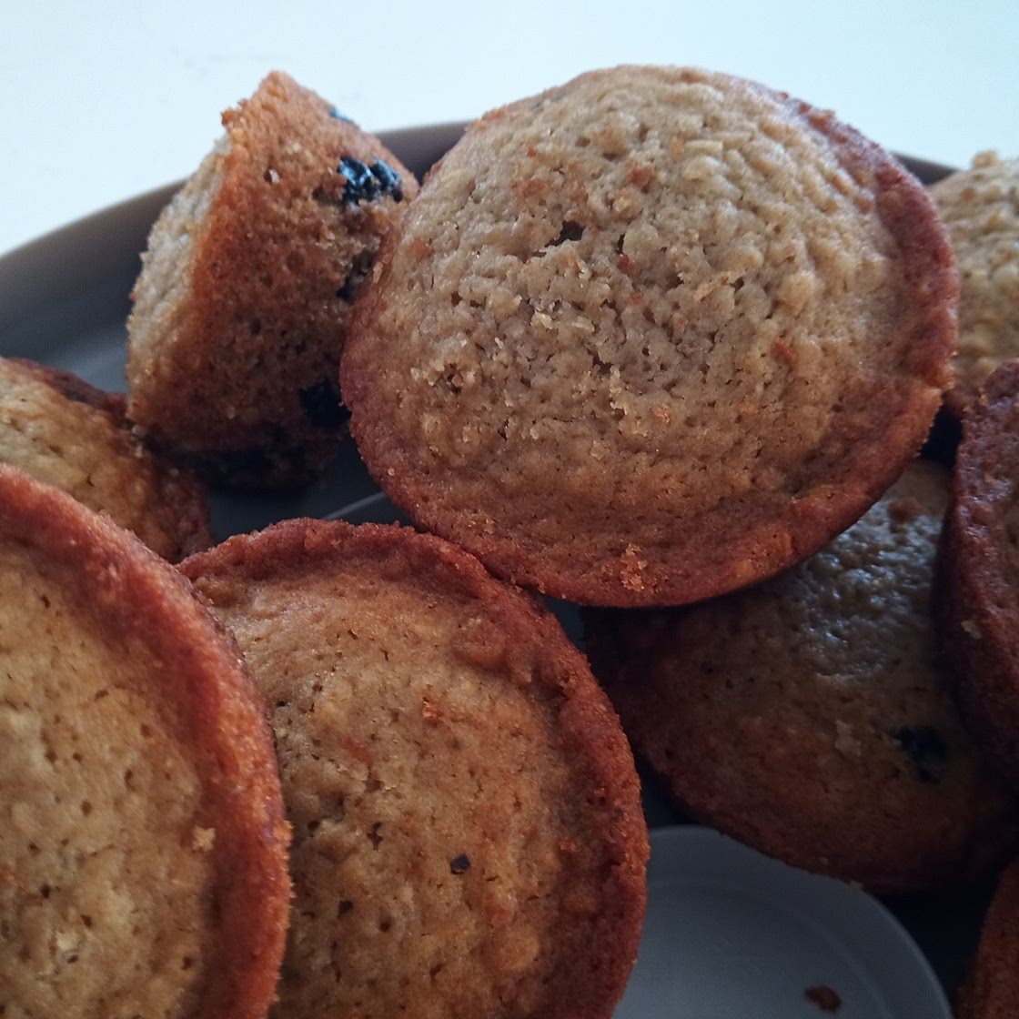 Muffins aux bleuets séchés