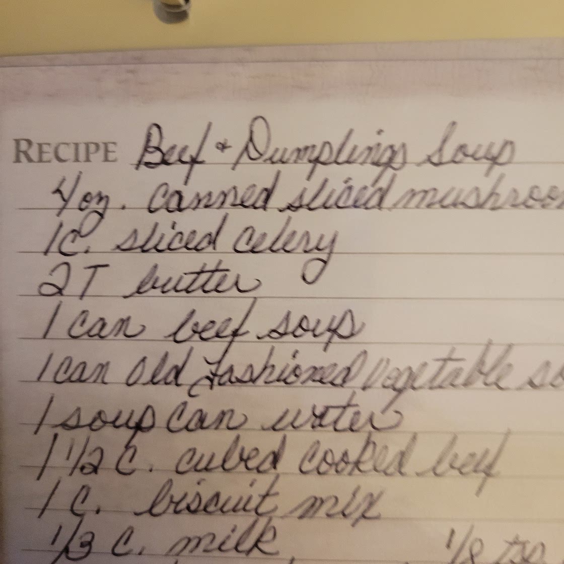 BEEF AND DUMPLING SOUP
