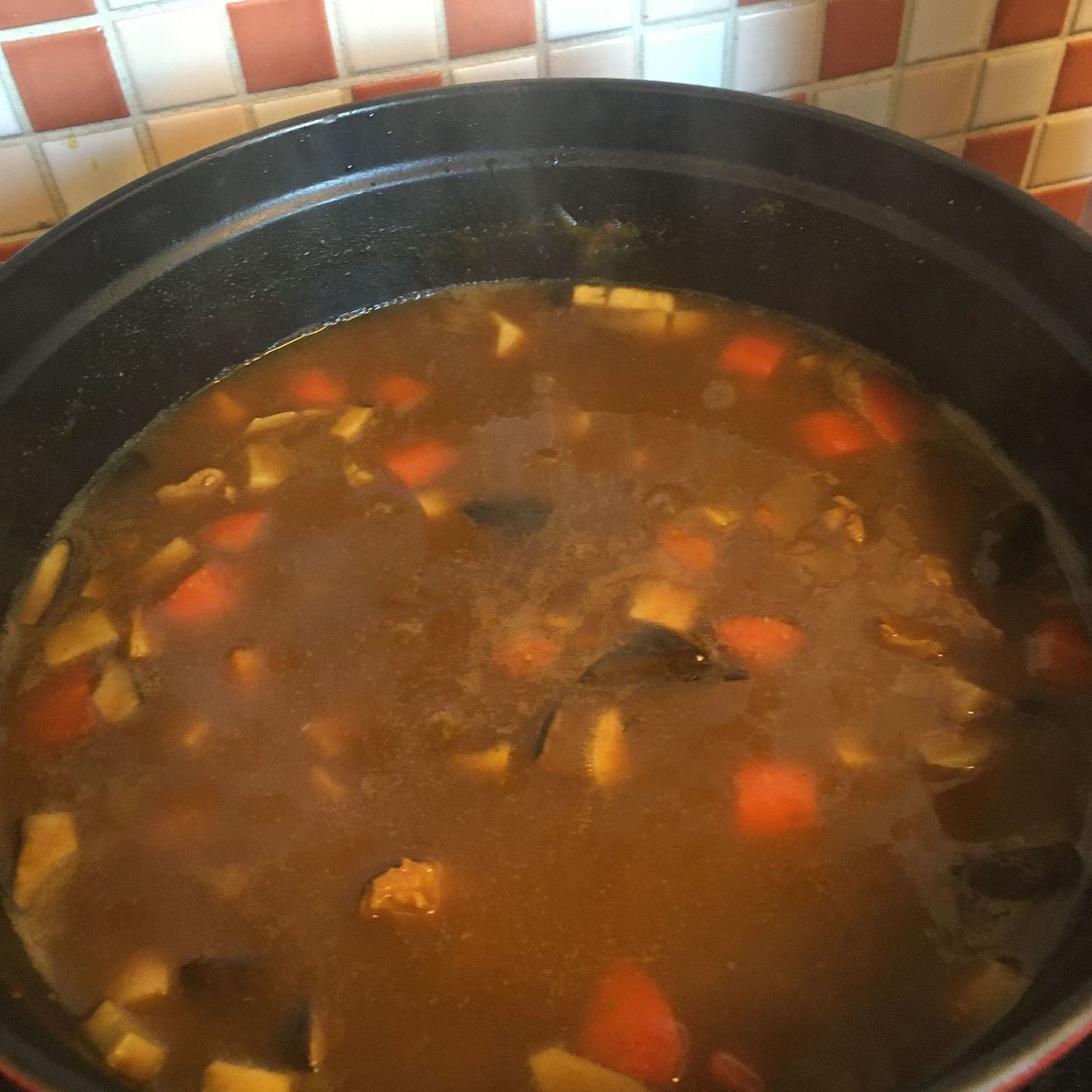 Japanese curry