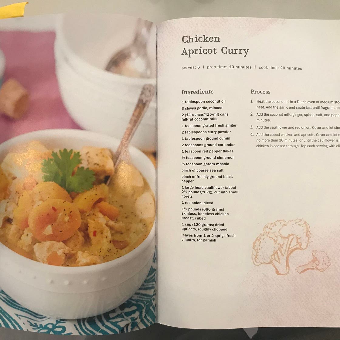 Chicken apricot curry