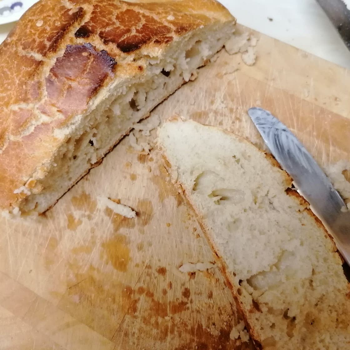 Easy Crusty Dutch Oven Bread