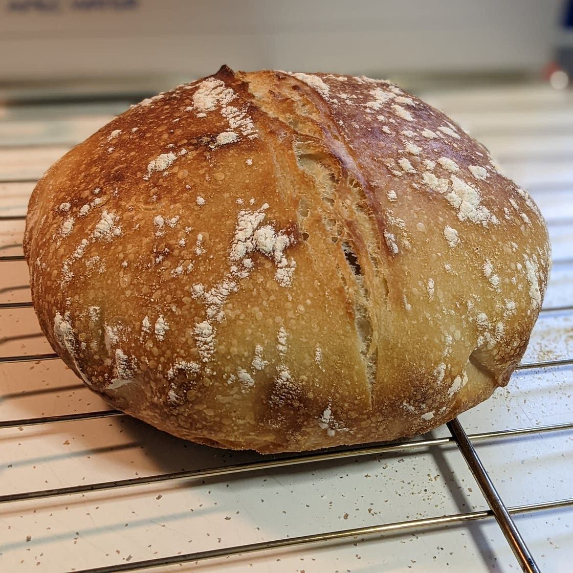 No-Knead Sourdough Bread