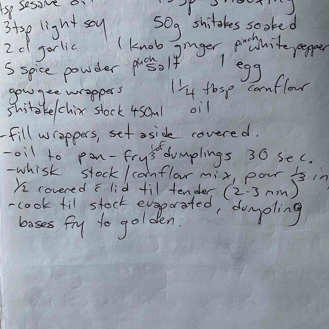 Chicken dumplings 