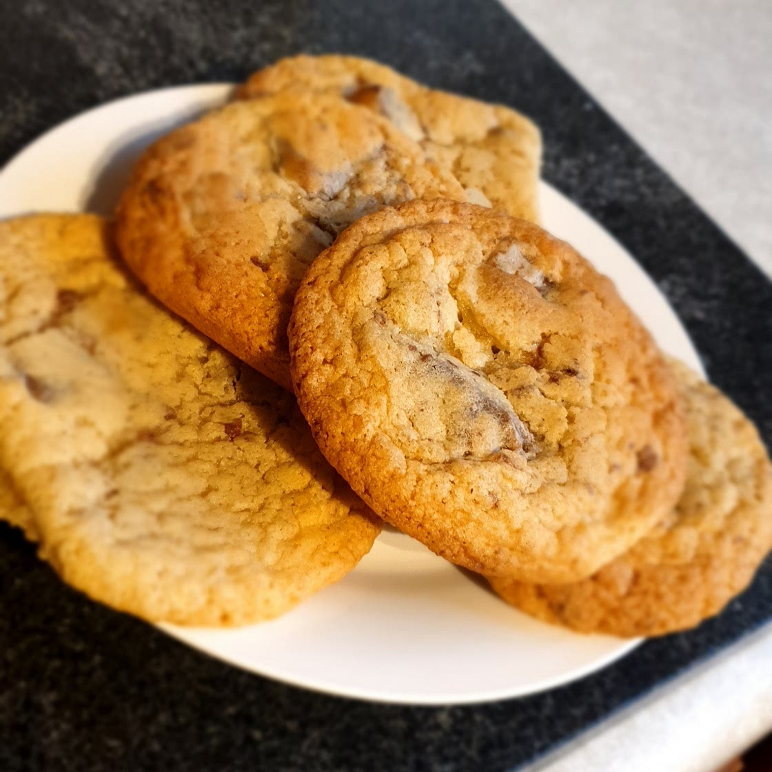 Chocolate-Chocolate Chip Cookies — Spicin' and Dicin'