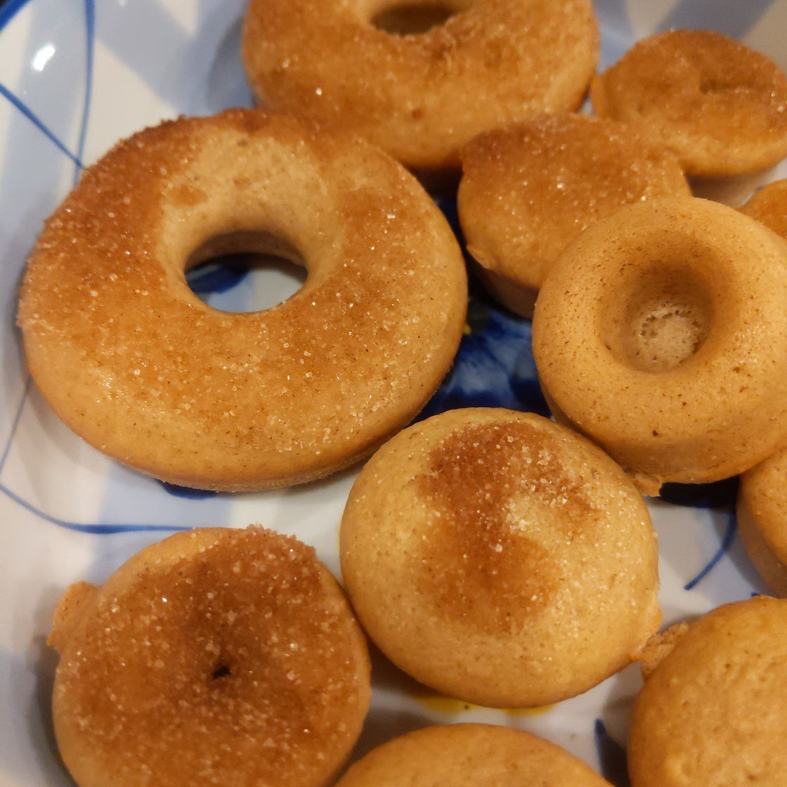 Cinnamon Sugar Vegan Donuts