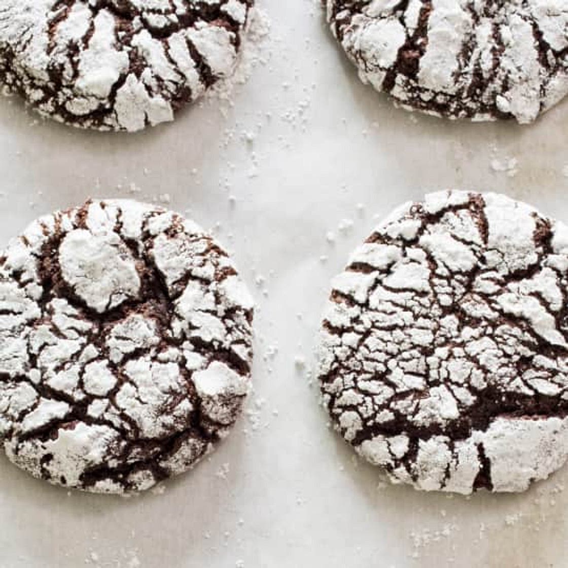 Chocolate Crinkle Cookie Recipe for Kids | America's Test Kitchen Kids