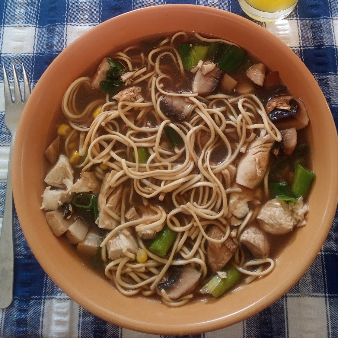 Chicken noodle soup