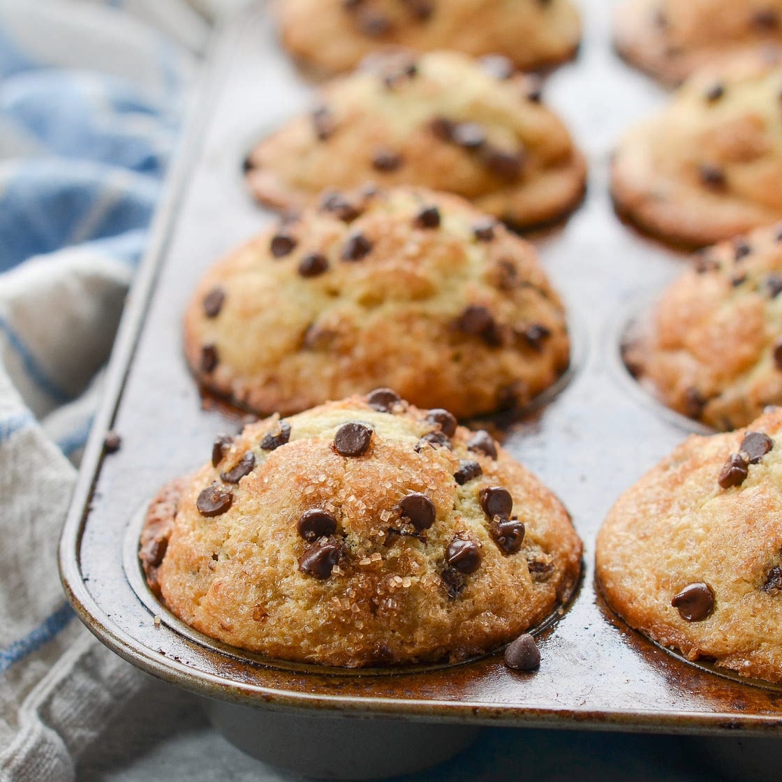 Chocolate Chip Muffins