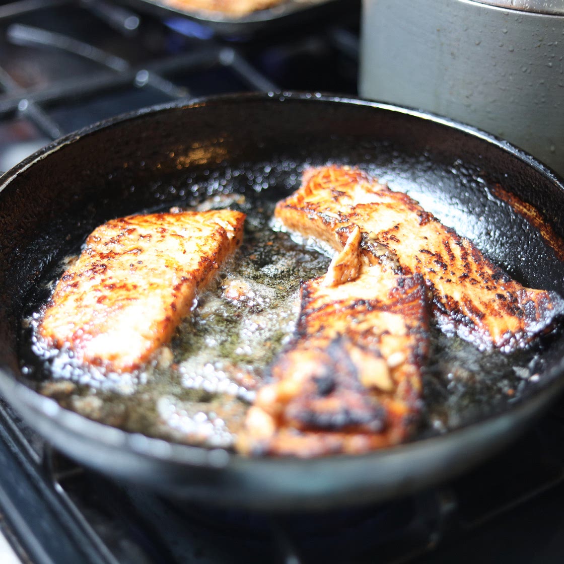 House Salmon