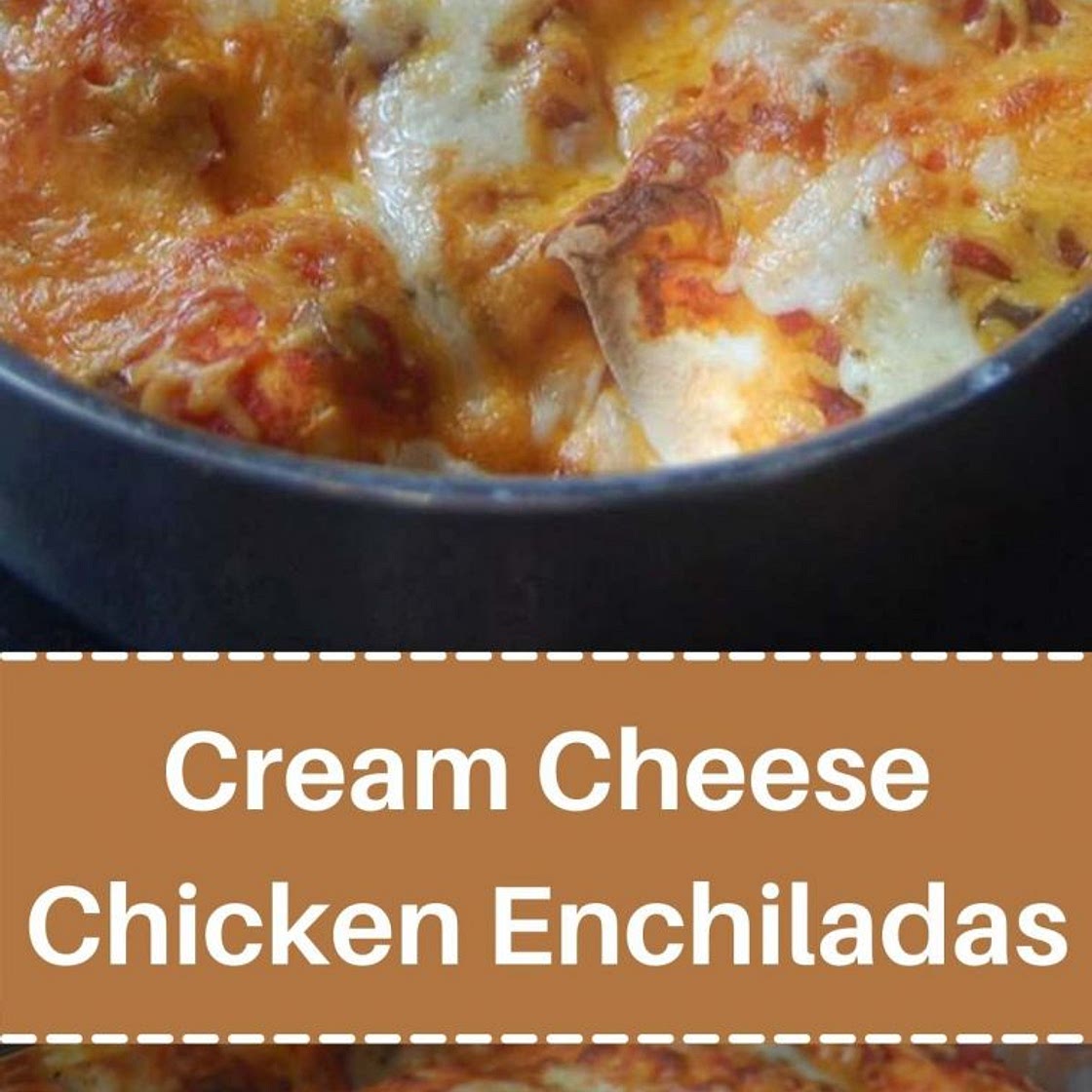 Cream Cheese Chicken Enchiladas
