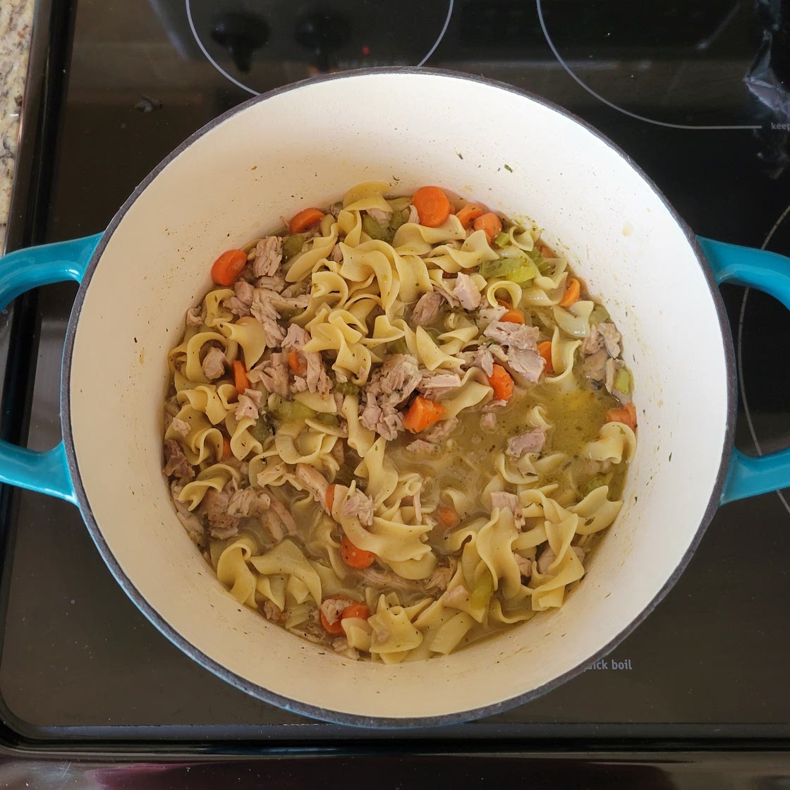 Homestyle Chicken Noodle Soup