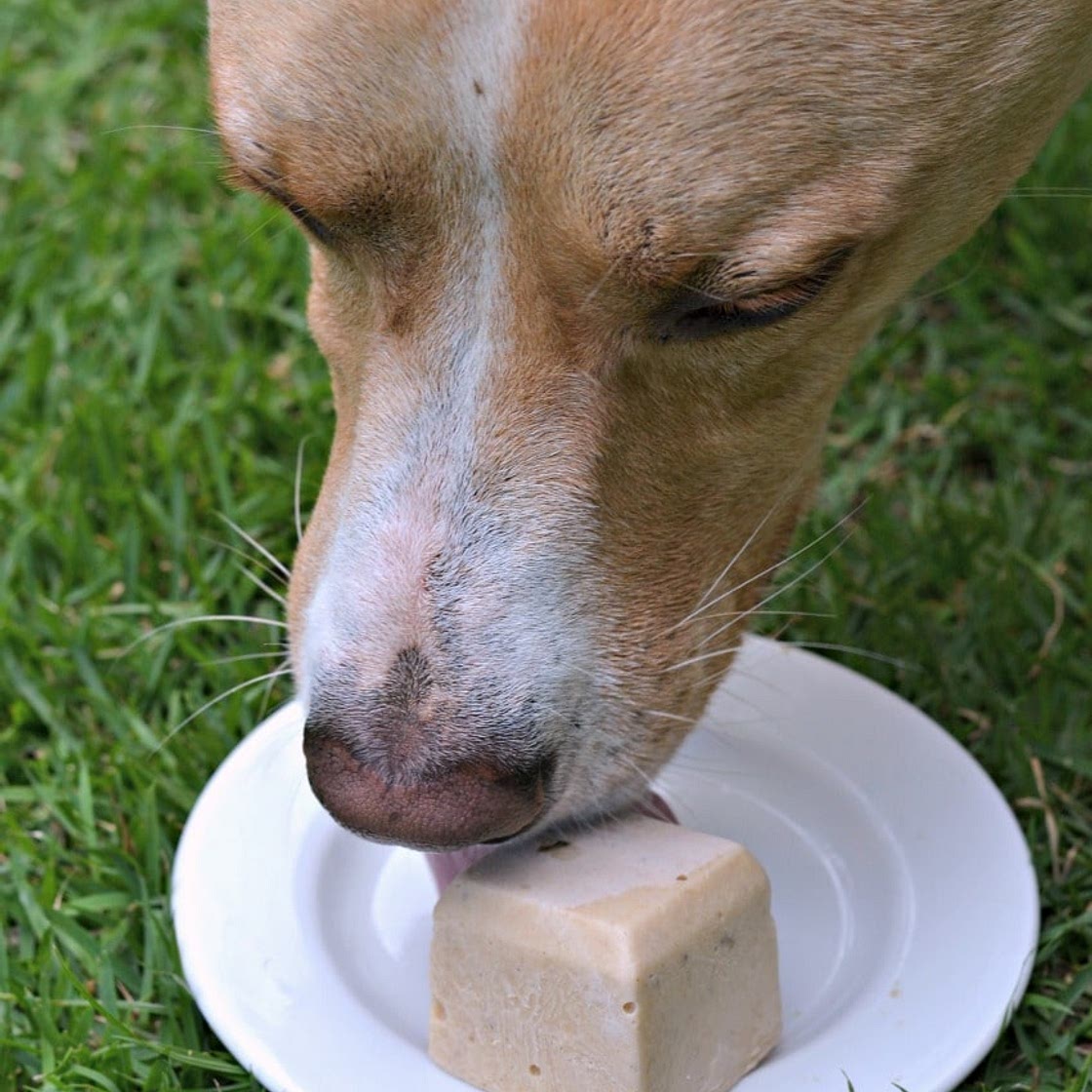 Peanut Butter and Banana Frozen Dog Treats