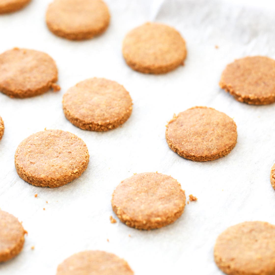 Peanut Butter Dog Treats
