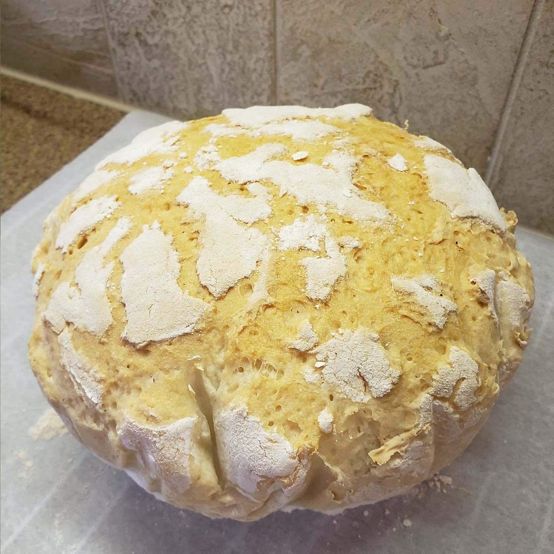 Gluten Free Dutch Oven Bread Recipe