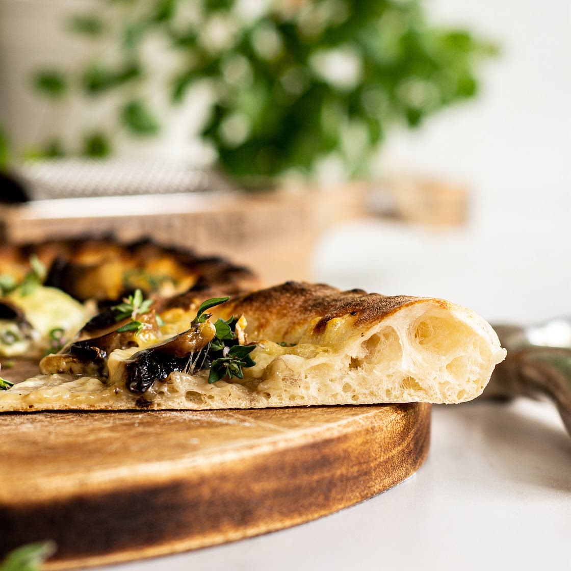 Sourdough Discard Pizza Dough