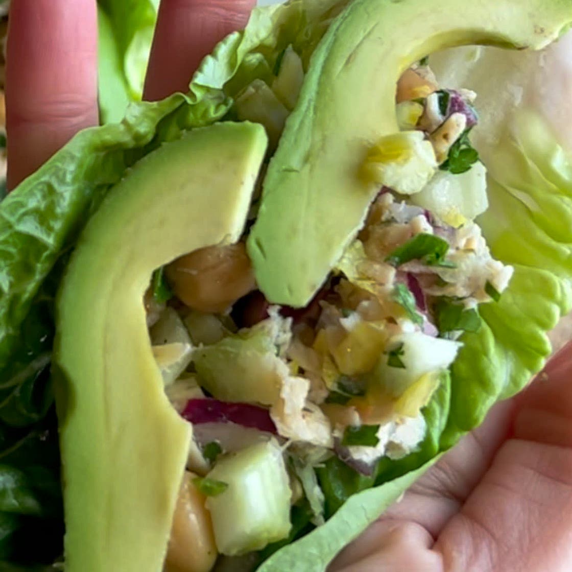 Avocado Tuna Lettuce Wraps 
