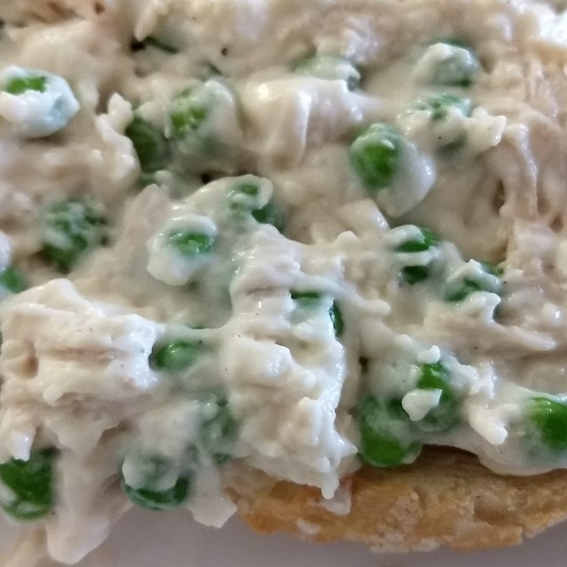 Creamed Chicken on Toast