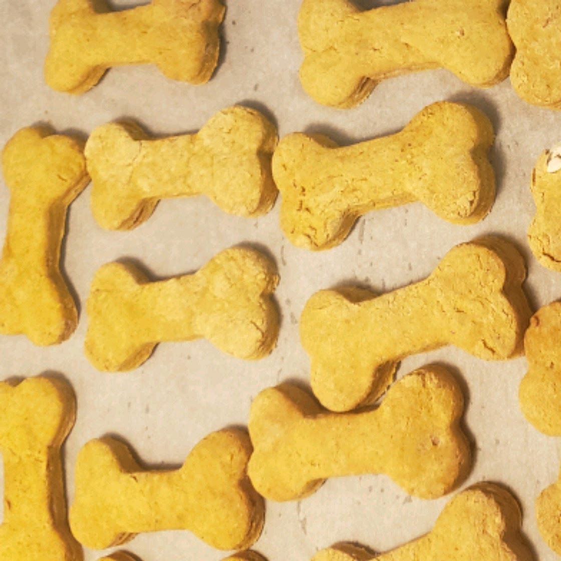 Peanut Butter and Pumpkin Dog Treats
