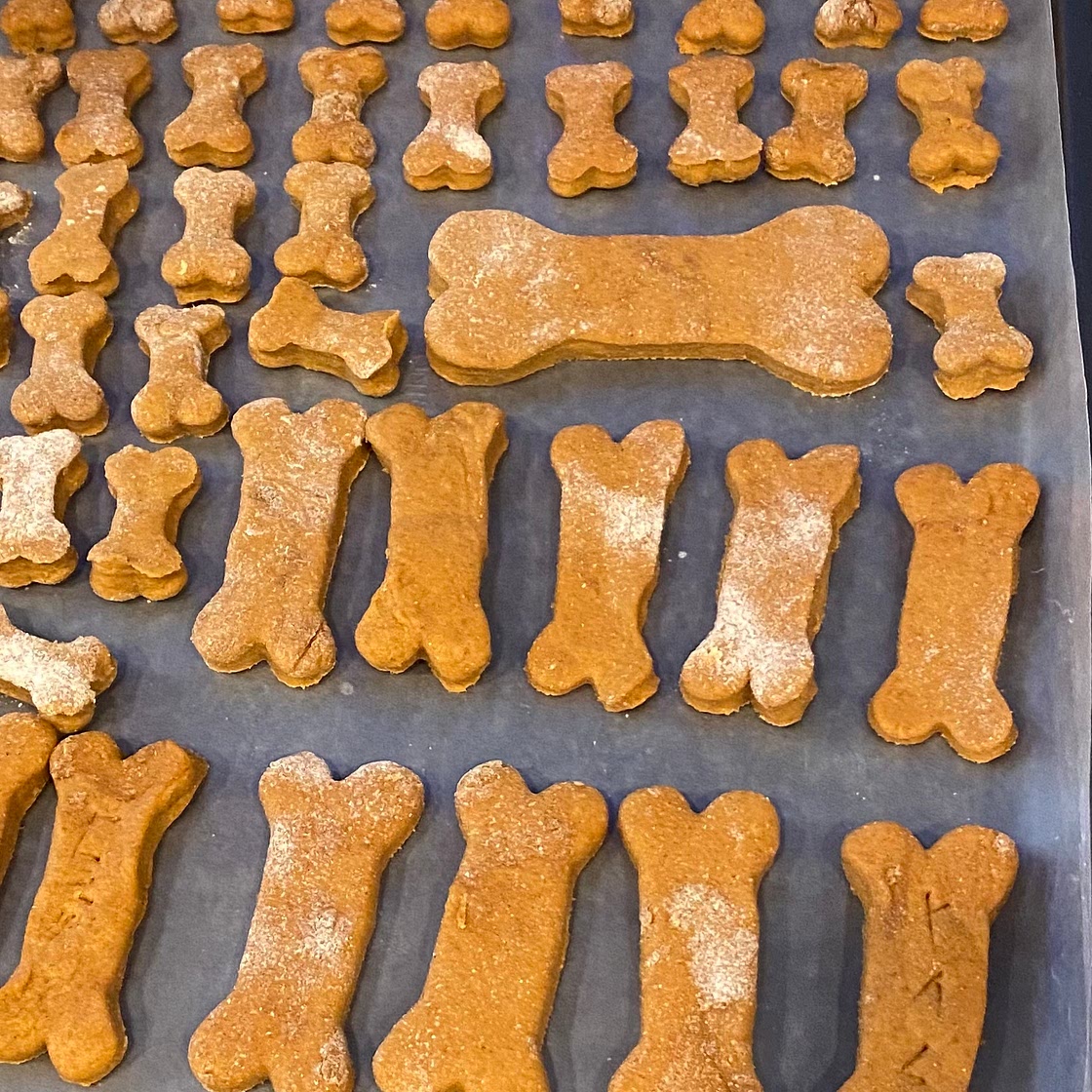 Peanut Butter and Pumpkin Dog Treats